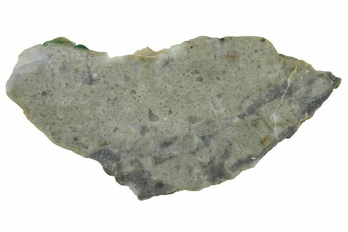 NWA Lunar Meteorite ( g) Slice #360581